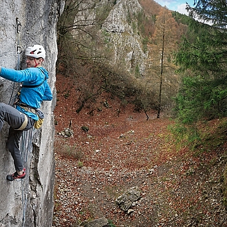 Gekón: 📸 Roman Ripka